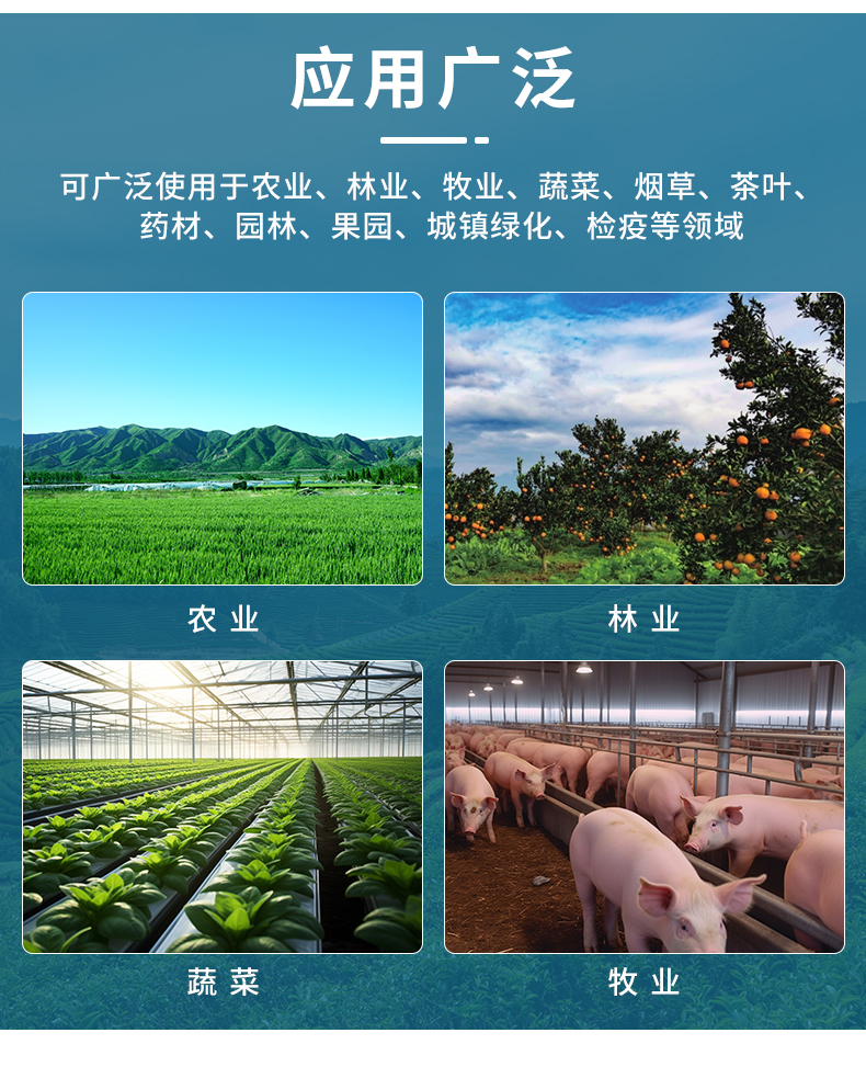 虫情R6_12.jpg